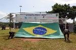Corrida da Paz - CMO