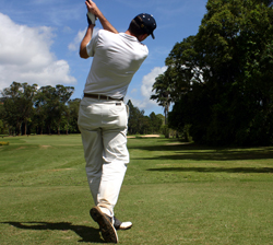 Golfe